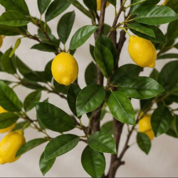 LemonBloom™️ – Premium künstlicher Zitronenbaum