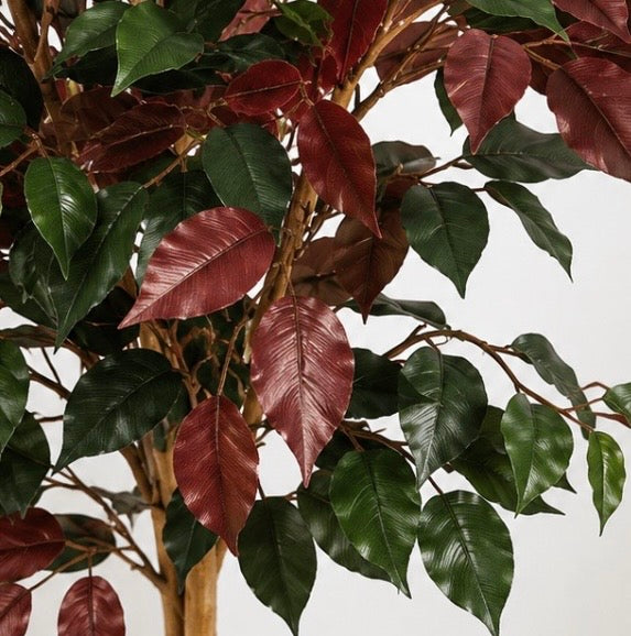 RubyLeaf™️ – Premium künstlicher Ficusbaum
